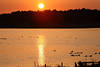Raketau Ruppersdorfer-See Sonnenuntergang Lichtstimmung Naturfoto mit Wasservgeln