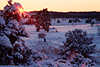 Sonnenstern Rotstrahlen in Schneelandschaft Winterzauber romantisches Naturbild verschneiter Bume