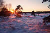 Sonnenuntergang Winterzauber rotgefrbter Schnee romantische Winterlandschaft Naturbild
