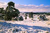 Schneeidylle Winterzauber Naturfoto in Sonnenschein unter Blauhimmel Bume Wolkenpanorama