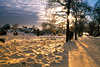 Goldschnee Abendstimmung Naturfoto Sonne ber Baumallee Winterlandschaft Schneedecke Wanderer