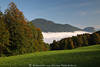 914179_Almwiese Grnland ber Nebel im Tal Morgenstimmung Naturfoto Bume Herbstfarben
