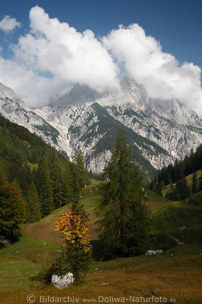 Bindalm Berge in Wolken Nationalpark Berchtesgaden Naturbild