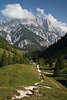 913294_Reiteralpe Berggipfel über Bindalm-Tal Grünwiesen Naturfoto geschlängelte Wanderpfade