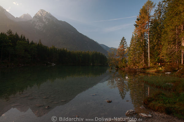 Hintersee Herbstlandschaft Naturbild Berge Wald Seeuferbume