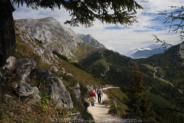 Jenner Bergpfad Naturfoto vielfltige Berglandschaft mit Wanderer