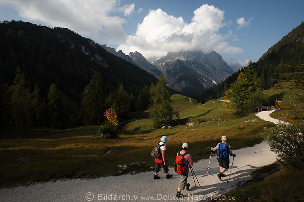 Klausbachtal Alpen Wanderweg 3-Frauen Naturbild Nationalpark Berchtesgaden