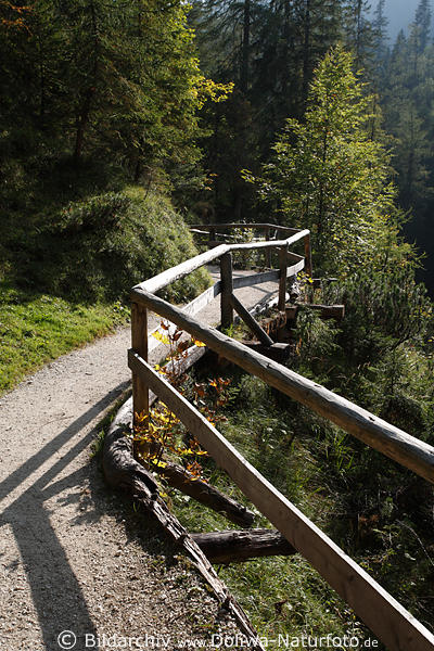 Weggelnder geschlngelt durch Bergwald Bume Holzbrcke in Klausbachtal