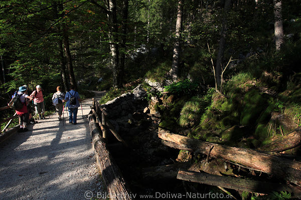 Schluchtbrcke Waldlichtung Naturfoto Klausbachtal Wanderer in Sonnenschein
