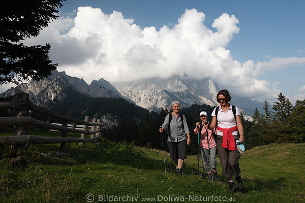 Wanderer in Alpenlandschaft Litzlalm am Wiesenzaun vor Bergmassiv
