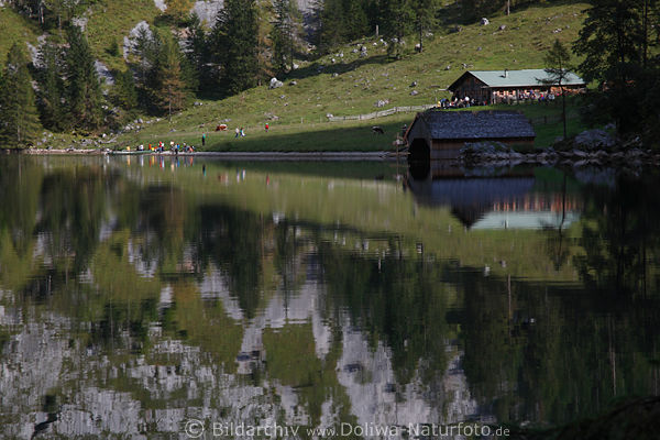 Fischunkelalm am Obersee Wasserufer Touristen Berghtte grne Natur der Berge