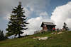 913525_Kiefernbaum an Toter Mann Bezoldhütte in Zaun Naturfoto mit Wanderer Berg-Besucher