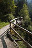 913412_Weggeländer geschlängelt durch Bergwald Bäume Holzbrücke in Klausbachtal