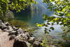 914291_Seeuferstille Foto Landschaft schöne Oase am Wasser Naturbild Steine Grünblätter in Sonnenlicht