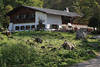 915728_Salet-Almhütte in Natur Alpenlandschaft Wanderziel Nationalpark Berchtesgaden Berge