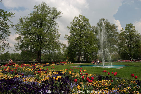Stadtgarten Insel Lindau Blumenpark Foto Frhlingsblte in Grnoase mit Wasserfontnen