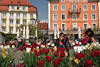 Blumenrabatte Lindau Hafenpromenade bunte Urlaubsidylle Foto Bodenseeinsel