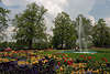Stadtgarten Insel Lindau Blumenpark Foto Frühlingsblüte in Grünoase mit Wasserfontänen