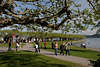 Radolfzell Seeufer Besucher unter Bäumen Hafenmole Spaziergang am Zellersee