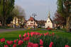 600495_ Uhldingen am Überlinger See in Bodensee Reise Foto, Kirche an Allee & Seepromenade in Blumen