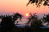 Sonnenball ber Bodensee rosablau Abendfarben Stimmungsfoto Sonnenuntergang zwischen Bumen