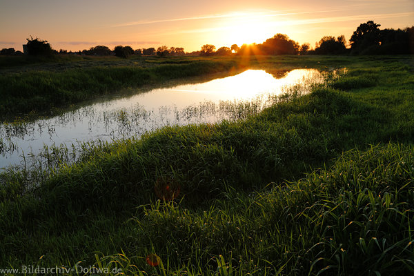 Ausonne Abendstrahlen ber Wasser Auwiesen Romantik Sonnenuntergang Naturfoto