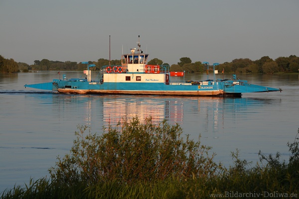 Elbfhre Schiffsfoto Bleckede Amt-Neuhaus Flussfahrt Wassertour in Abendlicht