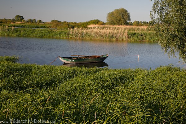 Ufer-Boot in Flusslandschaft Elbe Wasser Schilf Abendlicht Romantik Naturfotos