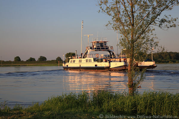 Elbuferfähre Darchau Fluss-Überfahrt Auto-Passagiere Wasser-Transport Schiffsreise