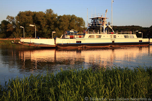 Elbe-Schiffsfähre Darchau Elbe-Überfahrt Passagier-Autofähre Wasser-Flussfahrt