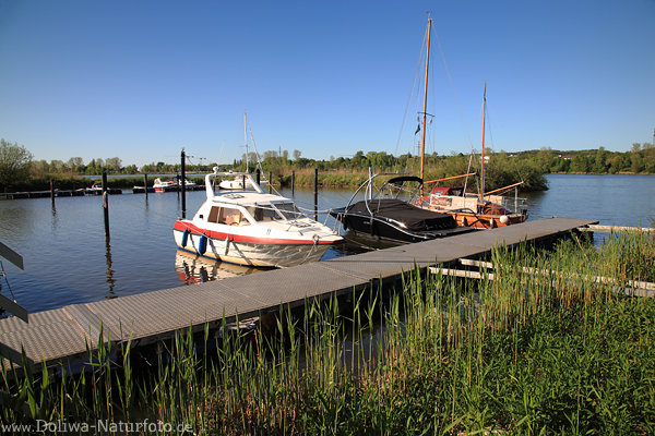 Elbbucht Bootshafen Wasserstegs Flusslandschaft Marschacht Naturfoto