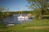 Elbbucht Rnne Segelboot Wasseroase Naturfoto Marschacht Grnufer Bild