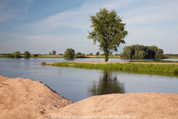 Elbe Sandufer Hitzacker Flulandschaft Hochwasser-Sandsperre vor Flutkatastrophe