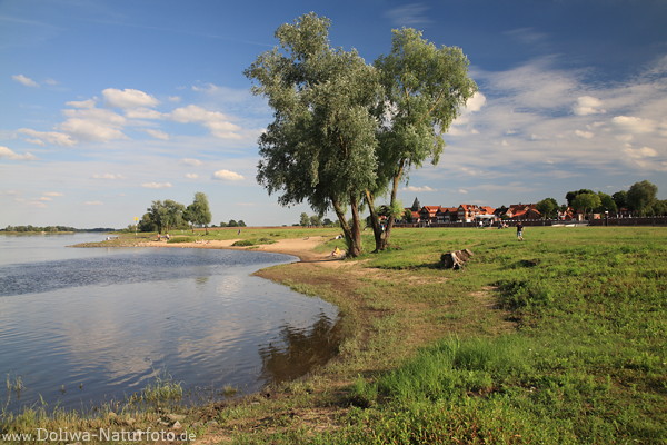 Elbestrand Hitzacker Wasserufer Grnwiese Natur-Urlaubsidylle am Fluss