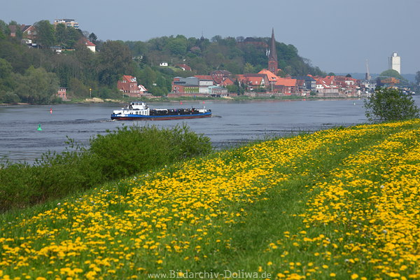 Elbe-Deichblte Naturfotos Frhling vor Wasser Schiff Flussufer Lauenburg Elbstadtblick