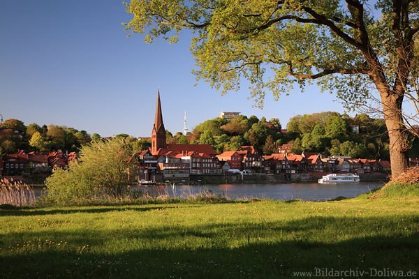 Elbuferstadt Lauenburg Lichtstimmung Naturfoto Grnwiese Frhling Cityblick unterm Baum