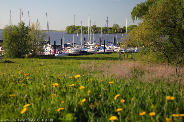 Neuenschleuse Flussufer Jork Foto Elbe Yachthafen Boote Wasserlandschaft