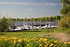 Neuenschleuse Grnufer Gelbblte Foto Elbe Wasser Boote Yachthafen Jork Flusslandschaf