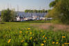 Neuenschleuse Flussufer Jork Foto Elbe Yachthafen Boote Wasserlandschaft