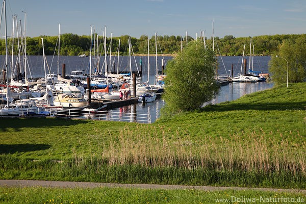 Neuenschleuse Fotos Elbe Yachthafen Jork Wasser Flussufer Boote Landschaftsbilder