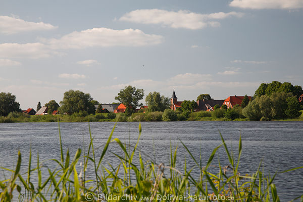 Elbe Stiepelse Wasserufer Flusslandschaft Naturfoto