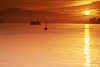 Elbe-Sonnenaufgang Rotwasser Fhre in Gegenlicht Romantik Nebelstimmung Naturbild