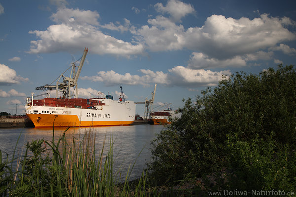 Hafenkai Hamburg grne Elbufer Containerschiffe unter Schnwetterwolken