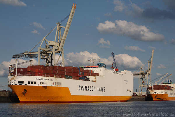Argentinagrande Containerschiff am Elbkai Hafen-Hamburg