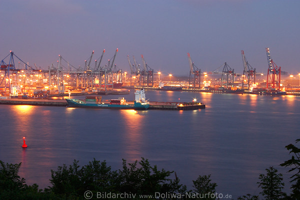 Containerhafen-Nachtlichter Hamburg-Bild Schiffe Hafenkrne Elbpanorama