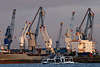 Hafen-Krne ber Containerschiff MS Egyptian in Hamburg Terminal Steinweg an Elbe