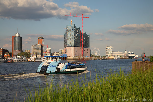 Hamburg Skyline Sdufer Wasserblick Besucher Paar blaue Elbfhre Gras Hafenlandschaft