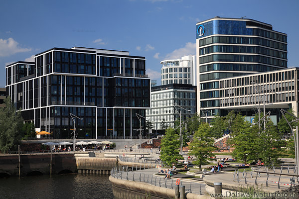 Elbterrassen HafenCity Hamburg Wasseruferpark Grnbume vor Glashuser Architektur