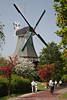 802552_Museumsmühle Foto Windmühleflügel über Bäume, weiss-lila Frühlingsblüte, Greetsiel Museum Spazierweg Paare