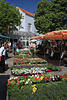 802520_Wochenmarkt Leer Foto, Besucher Reisebild Spaziergang bei Blumen & Marktbuden Stadtbummel